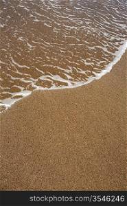 beach tropical shore with brown sand and clear water wave
