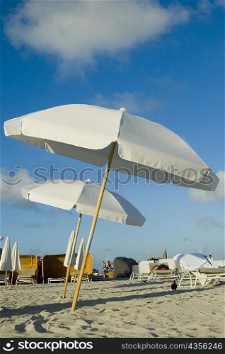 Beach umbrellas on the beach