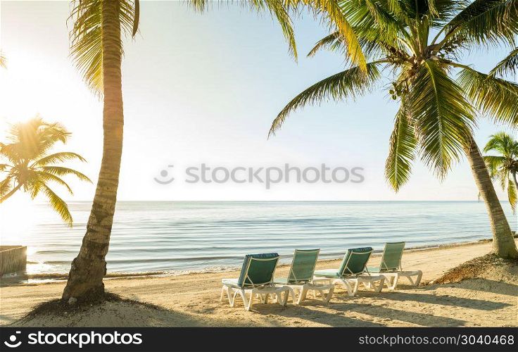 Beach Vacation With Palmtrees And Deckchairs. Tropical beach vacation scene with palmtrees and deckchairs in the sand by the water