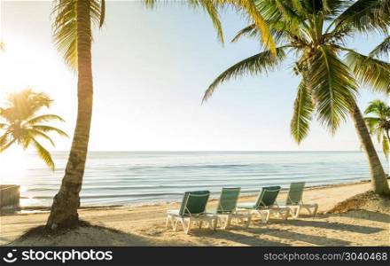Beach Vacation With Palmtrees And Deckchairs. Tropical beach vacation scene with palmtrees and deckchairs in the sand by the water