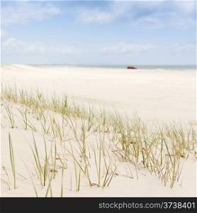 Beach views with sand and grasses with a red 4wd in the background