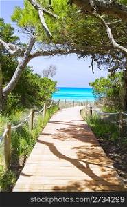 beach way to Illetas paradise beach Formentera Balearic islands