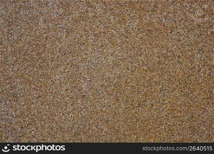beach wet sand brown texture mediterranean coastline soil pattern background