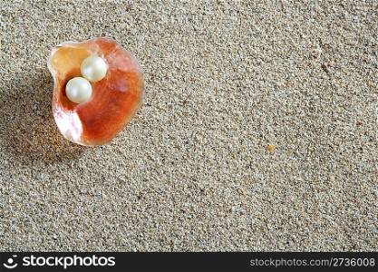 beach white sand with pearl in clam shell macro closeup
