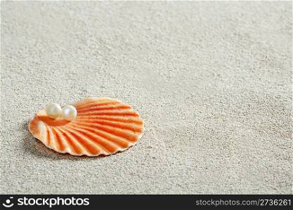 beach white sand with pearl in clam shell macro closeup