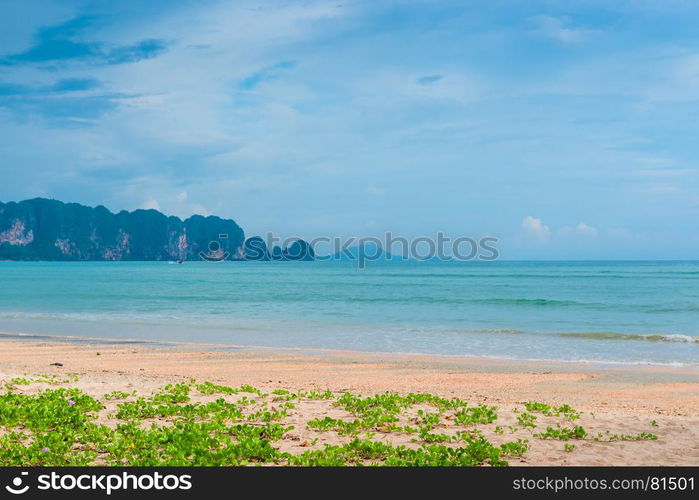 beach with beautiful flowers and a beautiful view of the mountain, Thailand, Krabi province