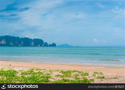 beach with beautiful flowers and a beautiful view of the mountain, Thailand, Krabi province