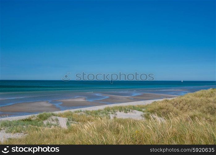 Beach with low tide water in the summer