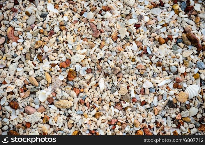 Beach with many old shells and color stones