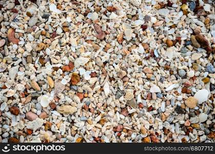 Beach with many old shells and color stones