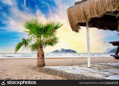 Beach with palm tree against a dramatic sky. Beach with palm tree against dramatic sky