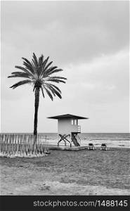 Beach with palm tree and life guard tower by the sea in low season - Black and white photography