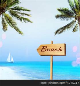 beach with palm tree over the sand and sign