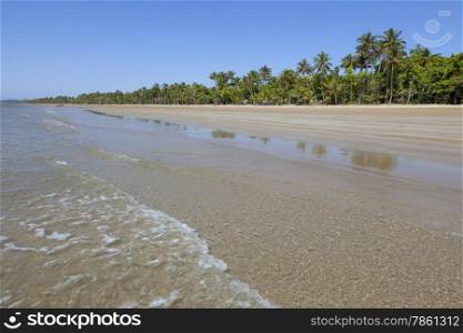 Beach with palm trees in Mission Beach,Queensland,Australia