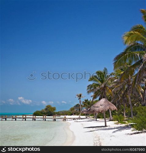 beach with pier on the Isla Contoy, Mexico