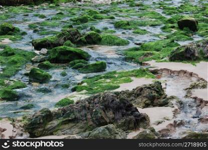 beach with rocks, algae and waterpools in between