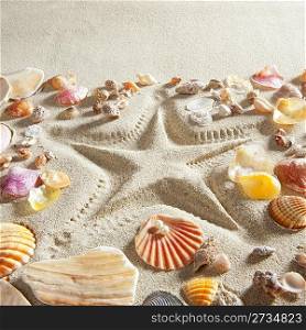beach with starfish printed in white sand many clam shells as a summer vacation background