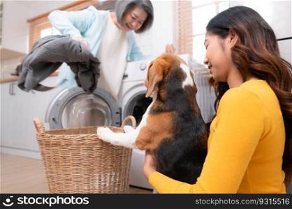 Beagle dog helping people in the house put clothes into the washing machine.