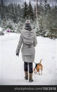 Beagle dog on a walk with girl in snow winter