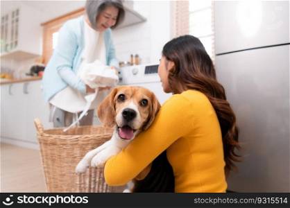Beagle dog staring at the camera in the owner&rsquo;s arms while the mother was putting clothes into the washing machine