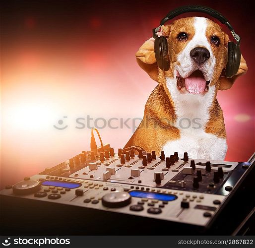 Beagle dog wearing headphones behind DJ mixer.