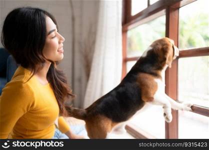 Beagle dog with her owner’s girl on a weekend getaway sitting and resting and looking out of the window in the living room of the house