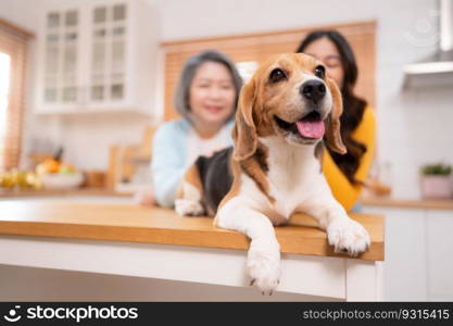 Beagle dog with mother and daughter on weekend getaway they are cooking together in the kitchen of the house.