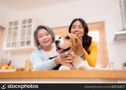 Beagle dog with mother and daughter on weekend getaway they are cooking together in the kitchen of the house.