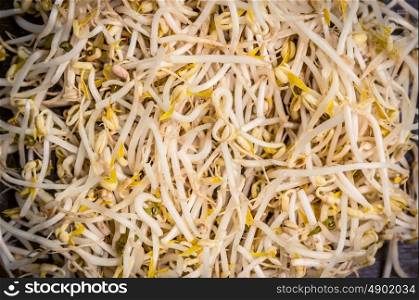 bean sprouts or soybean sprouts background, close up