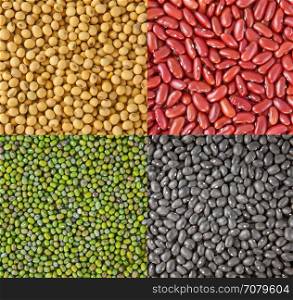 Beans collection as the background