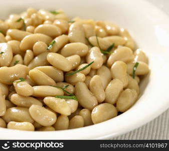 beans plate with vegetable isolated on white