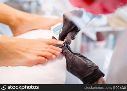 Beautician salon, pedicure, clean procedure. Nail care treatment for female client in beauty shop, doctor in gloves works with customer toenails