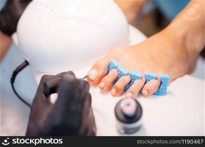 Beautician salon, pedicure, varnish application procedure closeup. Nail care treatment for female client in beauty shop, doctor in gloves works with customer toenails