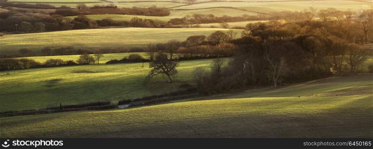 Beautifiul late Winter evening sunlight raking across English countryside landscape