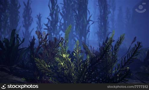 Beautifiul underwater panoramic view with tropical coral reefs