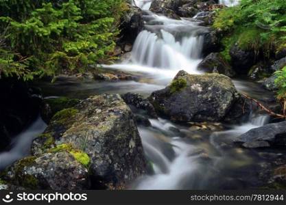 Beautifu stream in mountain with clean water and rocks
