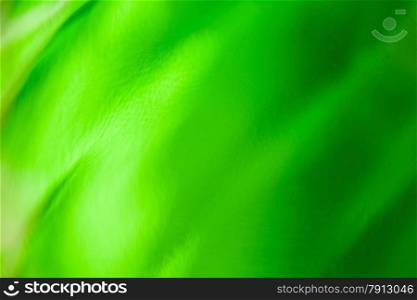 Beautiful abstract background of green wavy glass