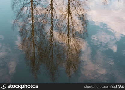 Beautiful abstract reflection of trees in the blue mirror surface of the river.