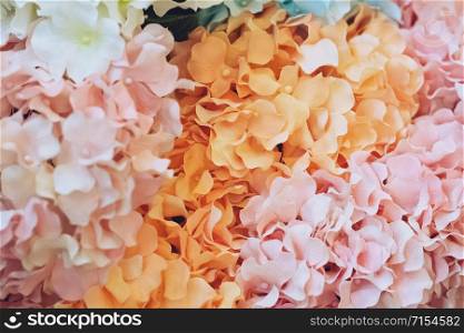 Beautiful Abstract Summer blossoming Floral pastel for Modern home interior Background