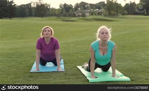 Beautiful adult sporty fit yogini women practicing set of yoga asana poses in the park: upward facing dog, downward facing dog and child pose. Attractive senior females wearing sportswear doing flexible yoga poses on park lawn