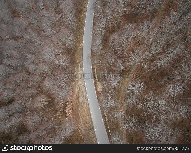 Beautiful Aerial view of an empty road in the forest