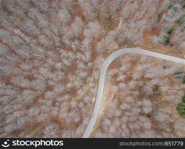 Beautiful Aerial view of an empty road in the forest