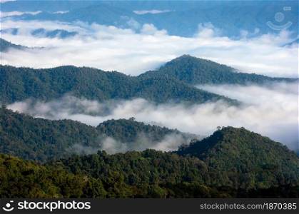 Beautiful aerial view sea of fog in the forest with green mountains. Doi-Montngo, Mae Taeng, Chiang Mai, Thailand.. Aerial view Fog in forest.