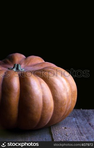 beautiful aesthetic pumpkin on a black background
