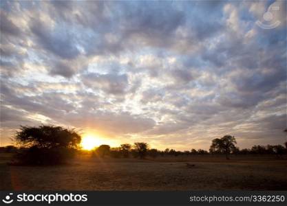Beautiful african sunset with an endless sky