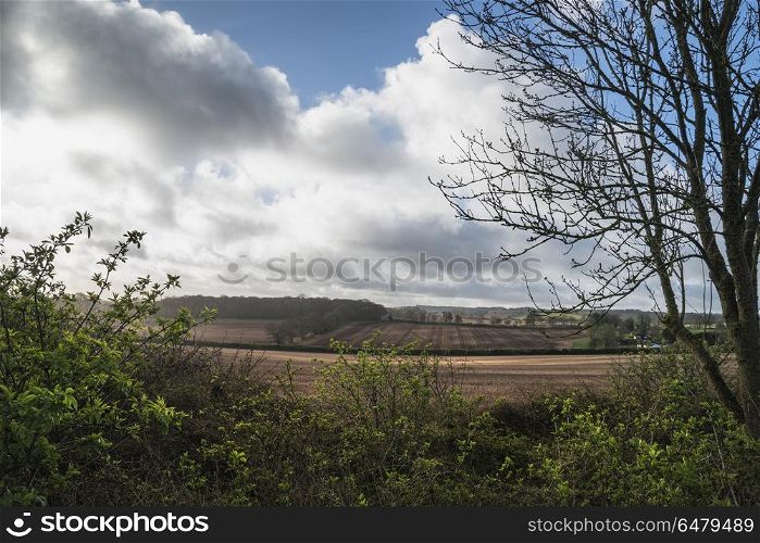 Beautiful agricultural English countryside landscape during earl. Beautiful agricultural English countryside landscape during early Spring morning