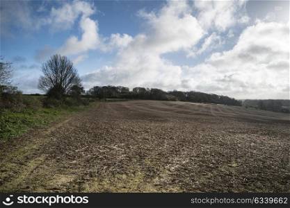 Beautiful agricultural English countryside landscape during early Spring morning