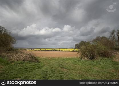 Beautiful agricultural English countryside landscape during early Spring morning