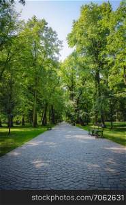Beautiful alley with green trees in Lazienki Park at Warsaw Poland.