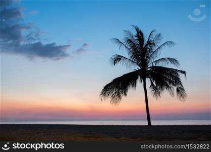 Beautiful alone coconut palm tree at sunset on beach